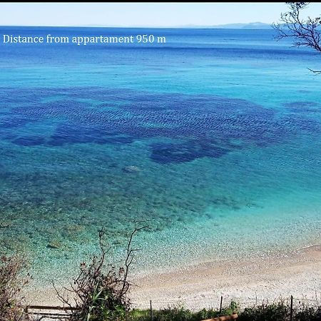 Appartamento Da Nonna Pina Portoferraio Dış mekan fotoğraf
